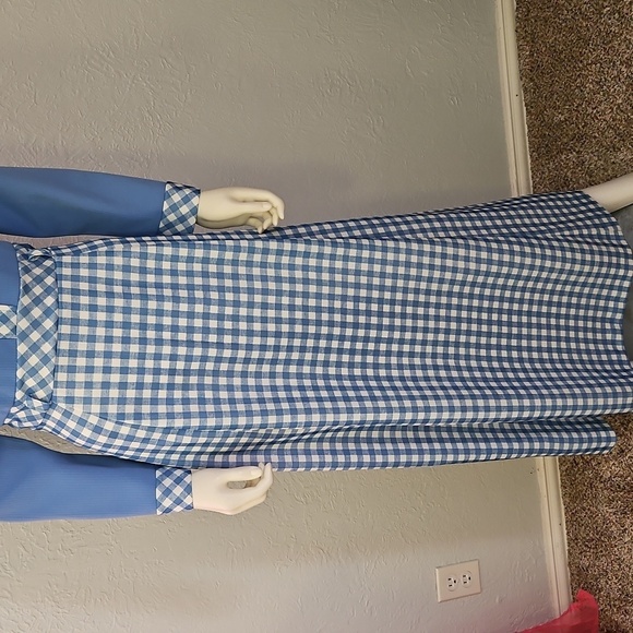 VTG JENNIFER GEE 1970s Baby Blue and White Gingham Long Sleeve Maxi Dress - Picture 6 of 11